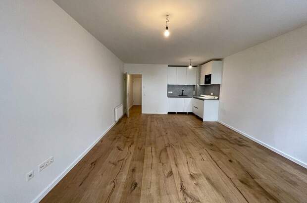 Altbauwohnung mieten in 1190 Wien (Bild 1)