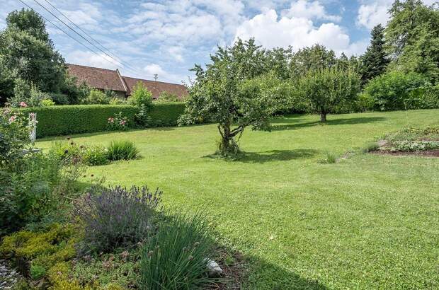 Haus mit Garten kaufen in 4062 Kirchberg (Bild 1)