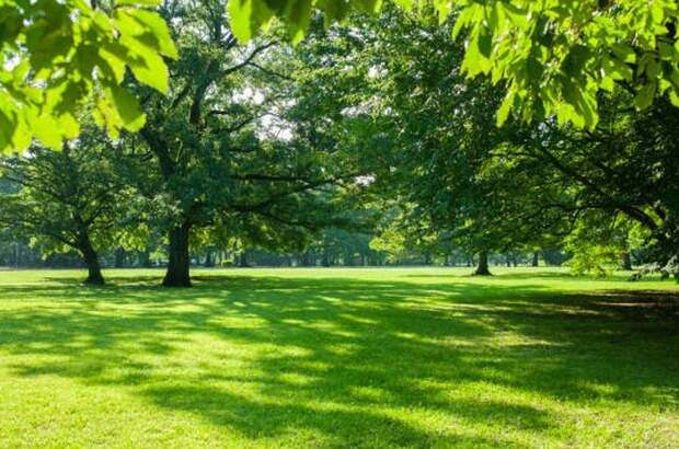 Wohnung mit Balkon kaufen in 8010 Graz (Bild 1)