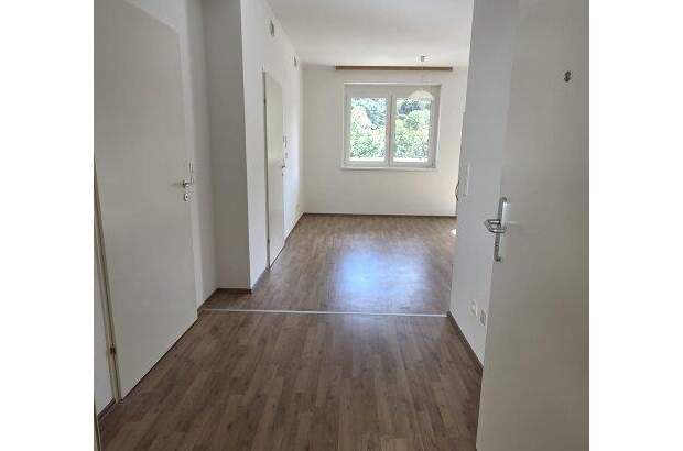 Terrassenwohnung mieten in 2754 Waldegg (Bild 5)