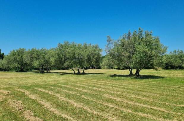 Haus kaufen in 52440 Porec (Bild 1)