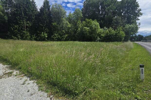 Grundstück kaufen in 8292 Neudau (Bild 4)