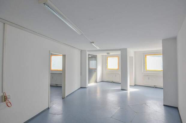 Gewerbeobjekt mieten in 1230 Wien (Bild 1)