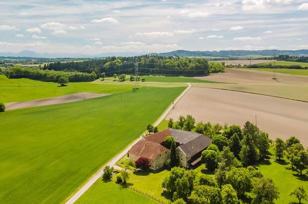 Haus kaufen in 4675 Weibern (Bild 2)