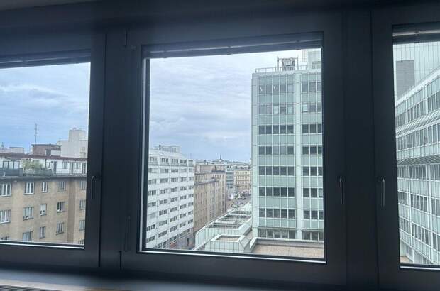 Gewerbeobjekt mieten in 1040 Vienna (Bild 4)