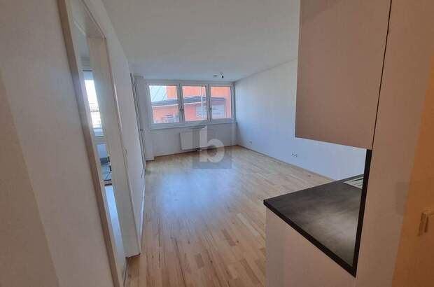 Terrassenwohnung kaufen in 1030 Wien (Bild 3)