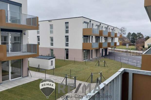 Terrassenwohnung mieten in 2201 Gerasdorf (Bild 1)