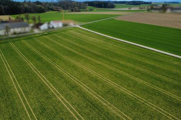 Gewerbeobjekt kaufen in 4654 Bad Wimsbach (Bild 3)