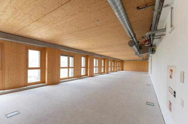 Büro / Praxis mieten in 1220 Wien (Bild 1)