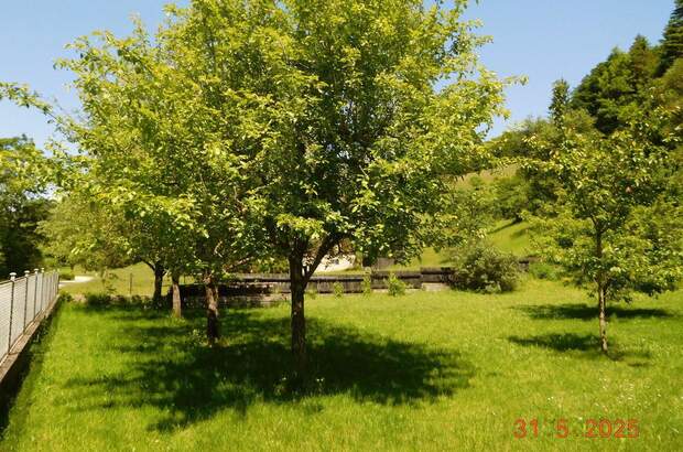 Mehrfamilienhaus kaufen in 3161 St. Veit (Bild 2)