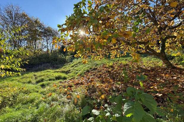 Haus kaufen in 8052 Graz (Bild 4)