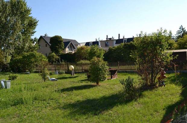 Grundstück kaufen in 2482 Münchendorf (Bild 2)