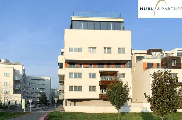 Immobilie mieten in 1220 Wien (Bild 3)