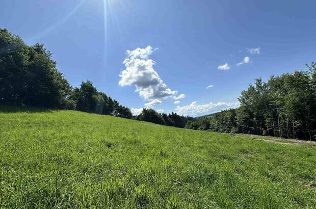 Grundstück kaufen in 8502 Lannach