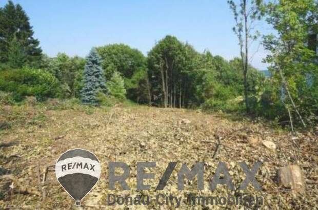 Grundstück kaufen in 3032 Eichgraben (Bild 3)