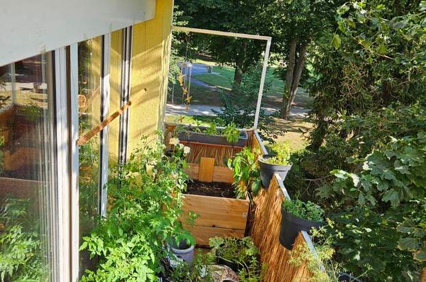 Wohnung mit Balkon mieten in 8020 Graz (Bild 3)