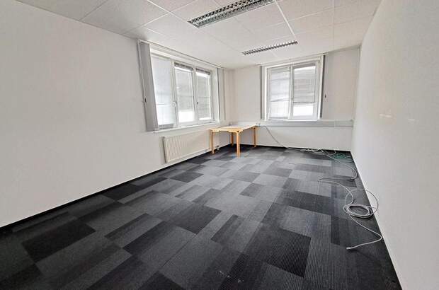 Gewerbeobjekt mieten in 3105 St.Pölten (Bild 3)