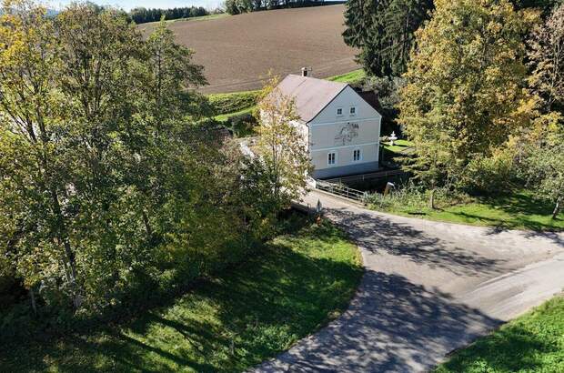 Haus mit Garten kaufen in 4552 Wartberg (Bild 4)