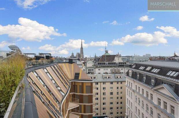 Terrassenwohnung kaufen in 1010 Wien (Bild 3)