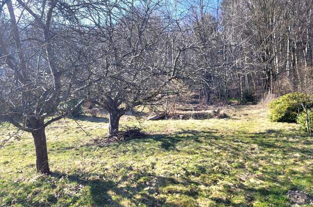 Grundstück kaufen in 3021 Pressbaum (Bild 4)