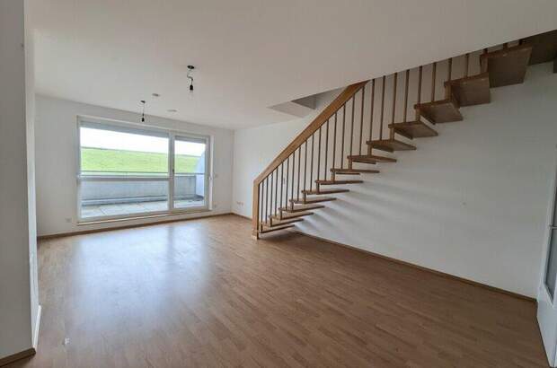 Terrassenwohnung mieten in 3382 Loosdorf (Bild 1)