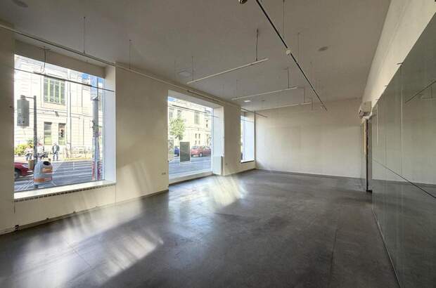 Gewerbeobjekt mieten in 1080 Wien (Bild 4)
