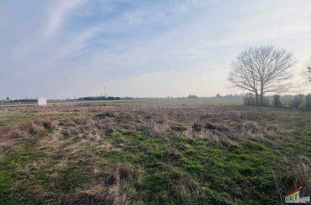 Grundstück kaufen in 2201 Seyring (Bild 1)