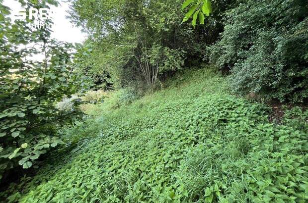 Grundstück kaufen in 8820 Neumarkt (Bild 3)