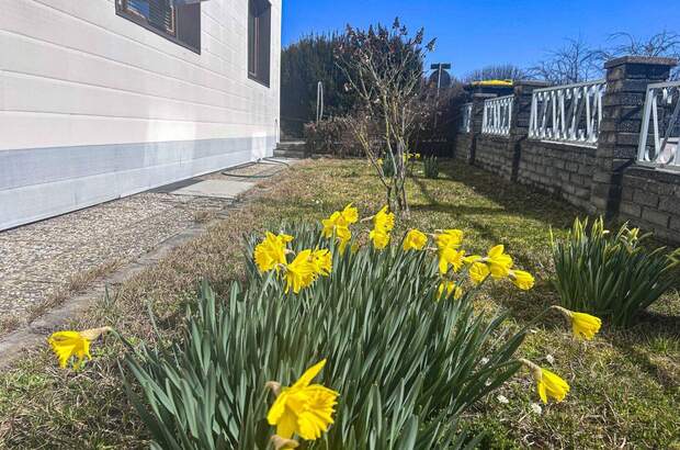 Haus kaufen in 4655 Vorchdorf (Bild 5)