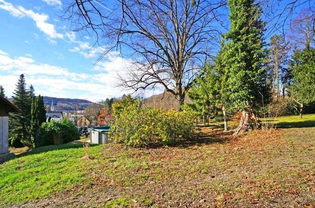 Chalet kaufen in 3021 Pressbaum (Bild 4)