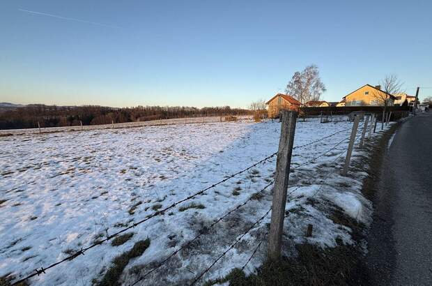 Grundstück kaufen in 4223 Weidegut (Bild 5)