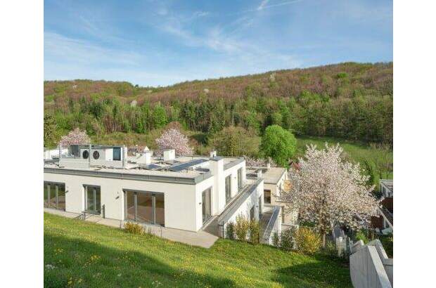 Wohnung kaufen in 2391 Kaltenleutgeben (Bild 2)