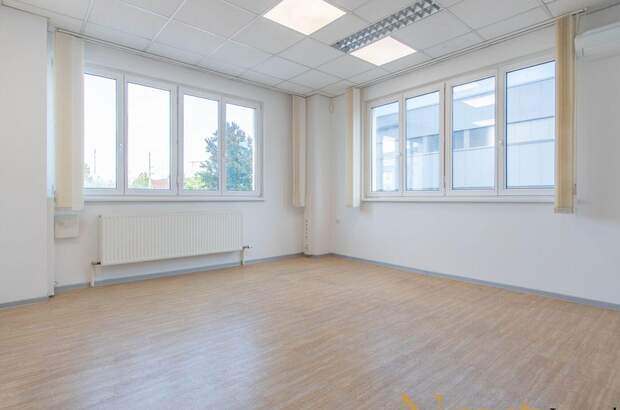 Gewerbeobjekt mieten in 4050 Traun (Bild 4)