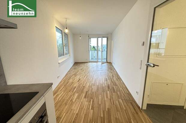 Terrassenwohnung mieten in 1230 Wien (Bild 2)