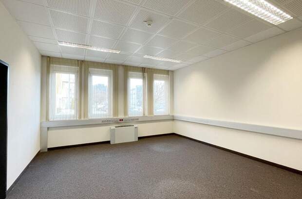 Gewerbeobjekt mieten in 8042 Graz (Bild 4)