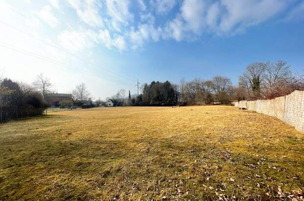 Grundstück kaufen in 8330 Feldbach (Bild 2)