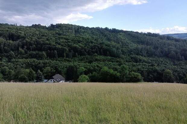 Grundstück kaufen in 3051 Neulengbach (Bild 4)