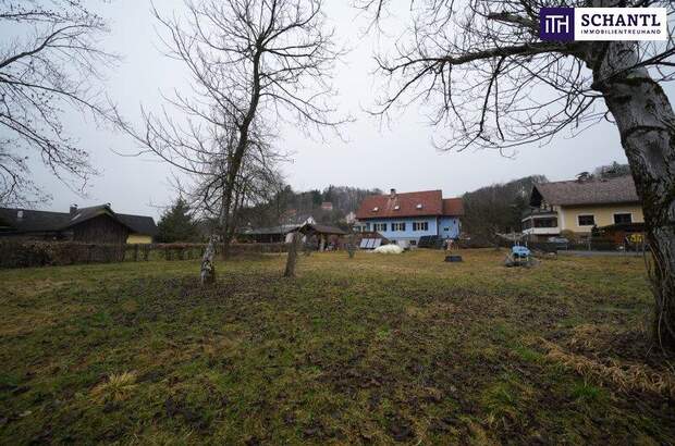 Haus kaufen in 8063 Höf (Bild 3)