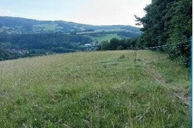 Grundstück kaufen in 3051 Neulengbach (Bild 1)