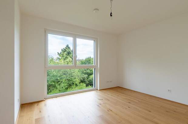 Terrassenwohnung kaufen in 1220 Wien (Bild 3)