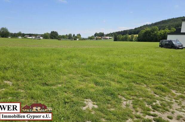 Grundstück kaufen in 5231 Schalchen (Bild 1)