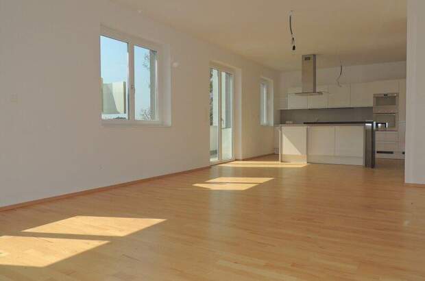 Terrassenwohnung mieten in 1220 Wien (Bild 1)