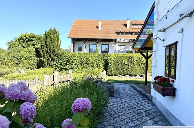 Haus mit Garten kaufen in 4612 Scharten (Bild 5)