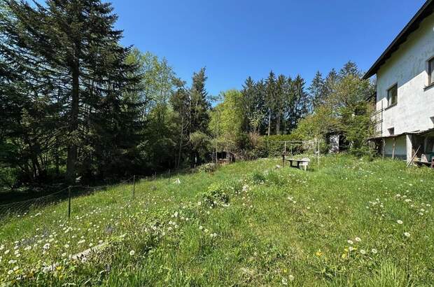 Grundstück kaufen in 4111 Walding (Bild 2)