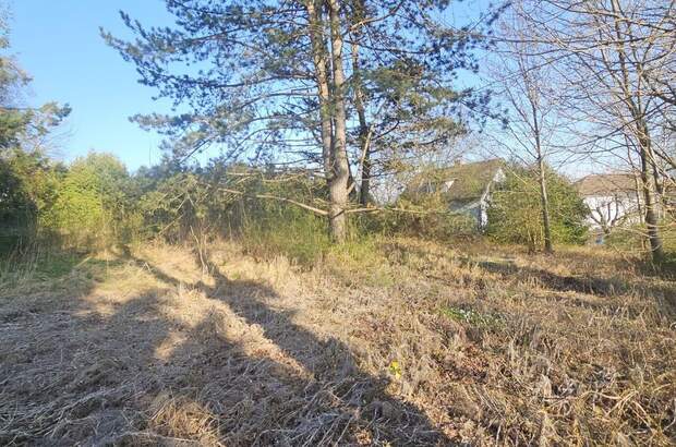 Grundstück kaufen in 8062 Kumberg (Bild 4)