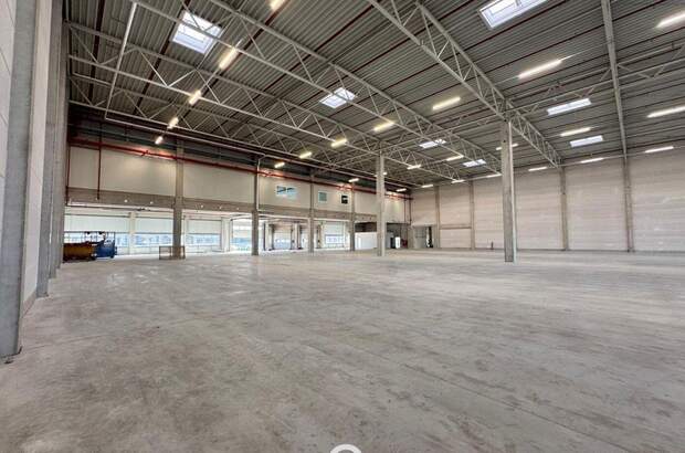 Gewerbeobjekt mieten in 4470 Enns (Bild 3)