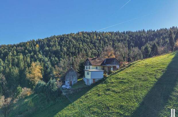 Gewerbeobjekt kaufen in 8570 Kleinwöllmiß (Bild 2)