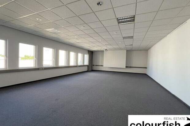 Gewerbeobjekt mieten in 1230 Wien (Bild 2)