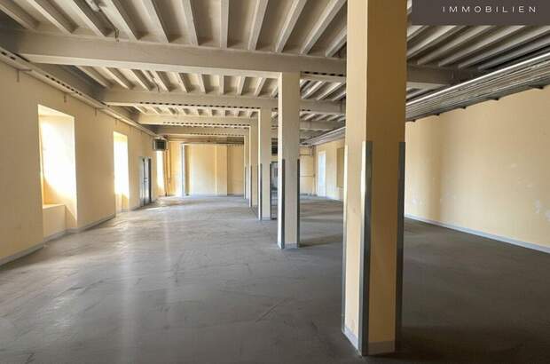 Gewerbeobjekt mieten in 1110 Wien (Bild 1)