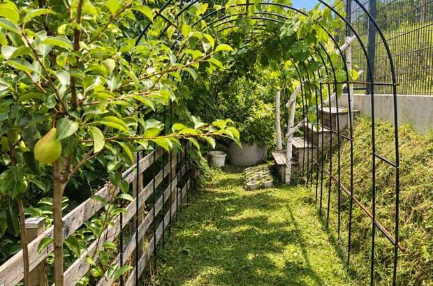 Haus mit Garten kaufen in 8570 Voitsberg (Bild 3)